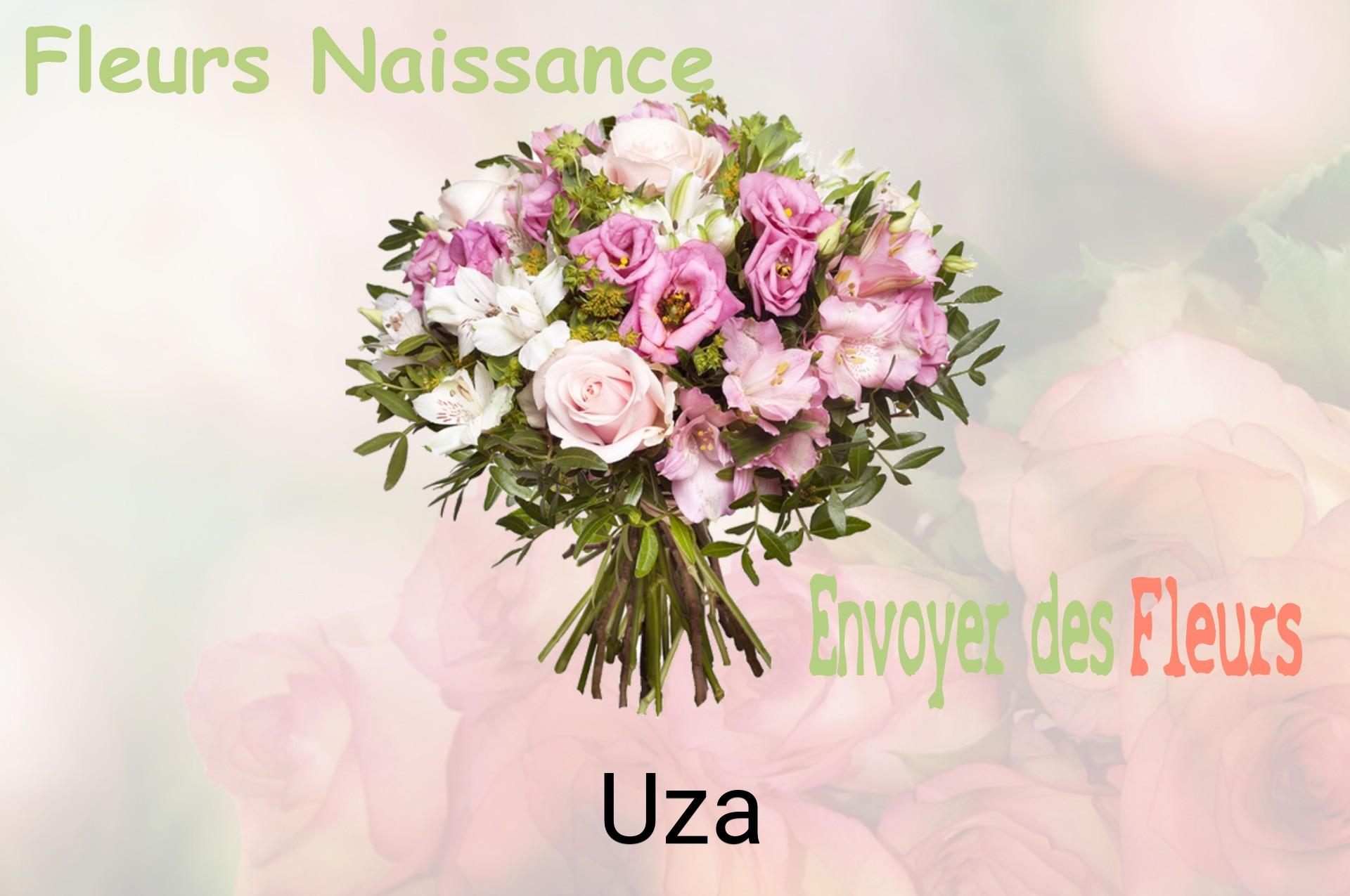 Bouquet de fleurs de naissance livré à Uza